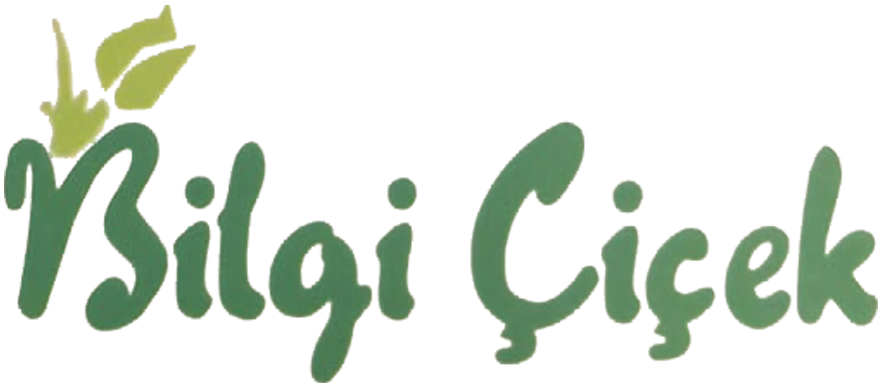 Bilgi Çiçek