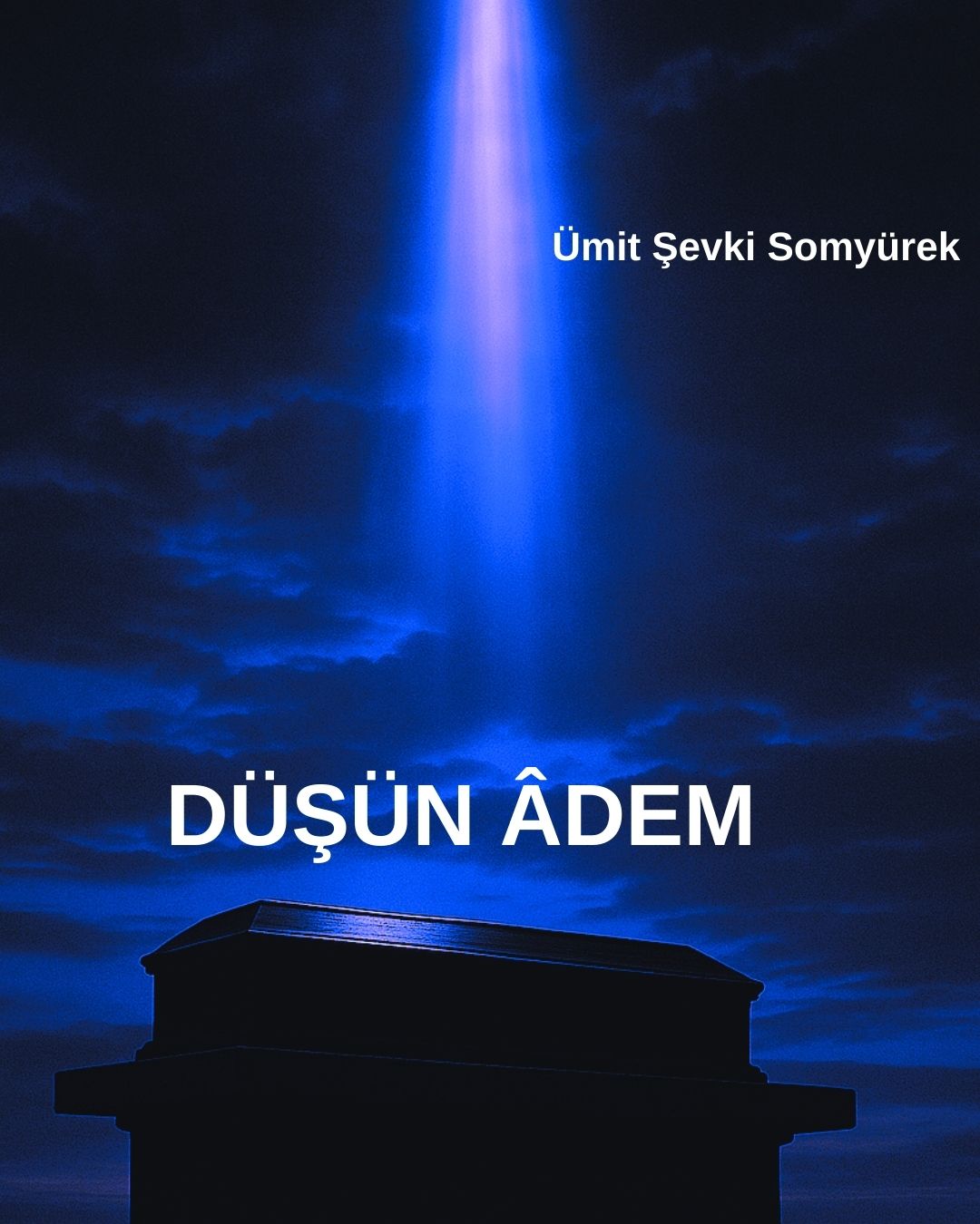 DÜŞÜN ÂDEM